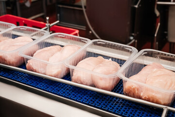 Conveyor Belt Food.Automated production line in modern food factory.A modern plant.Factory...