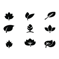 Silhouette of a group of leaves on a white background
