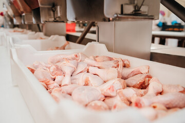The meat factory.Automated production line in modern food factory.Containers on a conveyor line with raw chicken drumstick.Factory for the production of food from meat,poultry.Conveyor Belt Food.