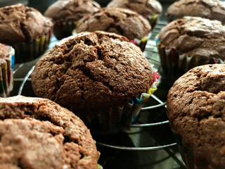 selbstgemachte schokoladen Muffins die abkühlen