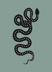 Set of hand drawn snake in boho, aztec style. Modern, trendy colors, minimalism art.