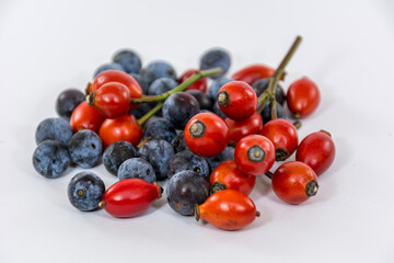 Closeup of rosehips and blackthorn wild fruits isolated on a white background