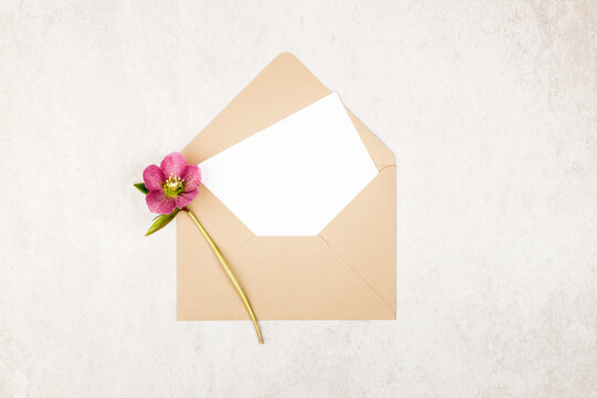 Beige craft envelope with blank white note card and bouquet of purple Hellebore flowers. Vintage or wedding, invitation, save the date, greetings card. Top view and flat lay with copy space - Powered by Adobe