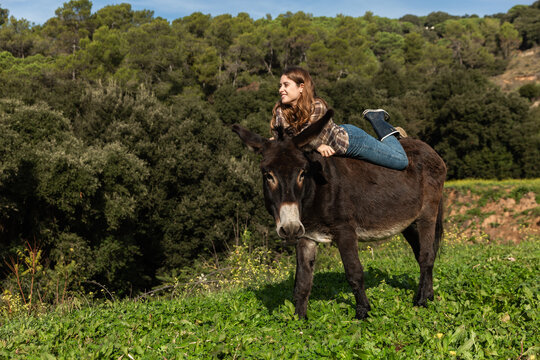 A young woman resting on a donkey looking away in a meadow