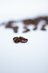 mascota perro perrito bebe plantas flores naturaleza agua marina marino mar paisaje atardecer abstracto ciudades ciudad rocas libro mantas objetos lluvia manifestación animales gente luces desenfoques