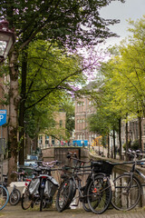 Obraz premium mascota perro perrito bebe plantas flores naturaleza agua marina marino mar paisaje atardecer abstracto ciudades ciudad rocas libro mantas objetos lluvia manifestación animales gente luces desenfoques