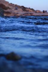 mascota perro perrito bebe plantas flores naturaleza agua marina marino mar paisaje atardecer abstracto ciudades ciudad rocas libro mantas objetos lluvia manifestación animales gente luces desenfoques