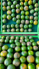 green orange and lime at the fruit market