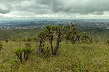 Fototapeta na wymiar natural landscape in the Serra do Rola Moça in the city of Belo Horizonte, State of Minas Gerais, Brazil