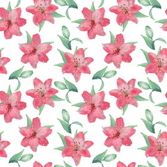 Floral seamless pattern of lilies. Isolated on a white background - 502444139