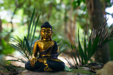 meditating buddha statue jungle background