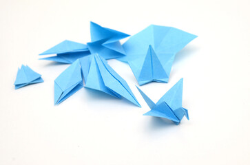 Making origami paper bird