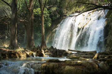 cascade f&eacute;&eacute;rique 