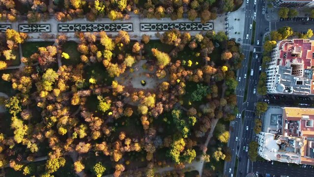 Smooth aerial footage of El Retiro Park in the center of Madrid.