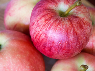 Several apples of the gala and Ligol varieties, a close-up shot.