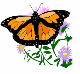 Ilustração de uma borboleta monarca