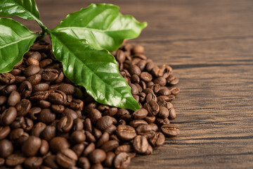 Coffee bean medium roasted with leaf in fresh morning.