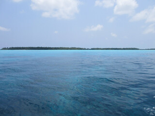 Maldives. Brown algae can be seen through the turquoise water. Blue sky, clear water and white sand. Paradise corner.
