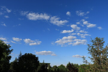 Obraz premium sky and clouds
