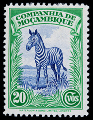 briefmarke stamp vintage retro alt old zebra tier animal afrika africa colonial kolonial kolonie 20 grün green blue blau mocampique Mosambik papier paper