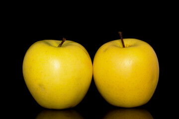Three ripe yellow apples, close-up, isolated on a black background.