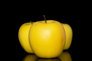 Three ripe yellow apples, close-up, isolated on a black background.