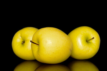 Three ripe yellow apples, close-up, isolated on a black background.