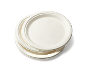Paper Plate Isolated