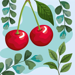 cherries fresh fruits