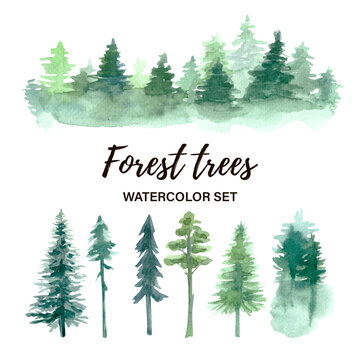 Forest trees watercolor set. Green hand-drawn tree. High quality photo