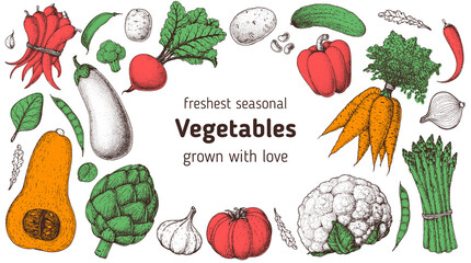 Vegetables hand drawn illustration. Top view frame. Vintage hand drawn sketch. Organic food poster. Good nutrition, healthy food. Vector illustration. Artichoke, carrot, pepper, eggplant, beet, garlic