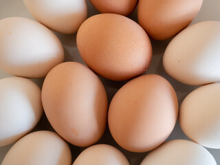 Easter eggs lying on a plate prepared for painting