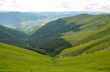Top view of the mountain slopes covered with lush green grass and the valley overgrown with dense forest. Travel to the mountains and outdoor activities. Carpathians, Ukraine