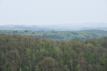 Landschaft mit Hügeln und Wald, frische grüne Blätter im Frühling, Jahreszeit zwischen Ostern und Pfingsten