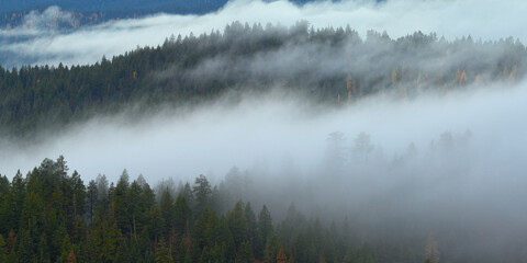 Misty view of the mountains with forest in Eastern Oregon.