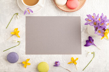 Beige paper sheet mockup with spring snowdrop crocus flowers and multicolored macaroons on gray concrete background. top view, copy space.