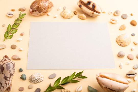 Composition with gray paper sheet, seashells, pebbles, green boxwood. mockup on orange background. side view, copy space.