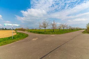Fototapeta na wymiar Bike path at the Markkleeberger lake near Leipzig in early spring