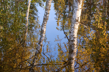 Obraz premium Swedish forest lake in autumn