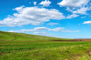 beautiful green field and tractor plows the large field against blue cloudy sky background in spring season