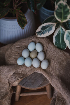 Blue And Green Chicken Eggs On Burlap