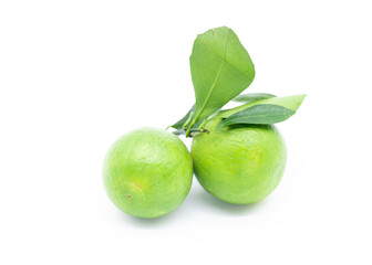 Green tangerines or Mandarin on a branch with leaves on white background.