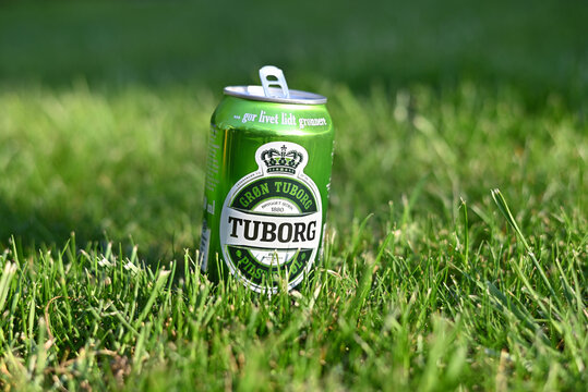 Poznan, Poland - 2 May 2022. Tuborg beer can on the green grass on a sunny  day. Tuborg adverisement concept with green color. Stock Photo | Adobe Stock
