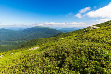 green mountain landscape. summer nature scenery with summit in the distance. beautiful view in morning light