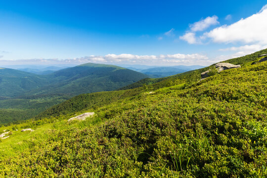 green mountain landscape. summer nature scenery with summit in the distance. beautiful view in morning light