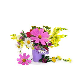 Wildflowers summer, pink flowers cosmos, white chamomile, yellow linaria, red samaras maple ash in small violet bucket on white background with space for text