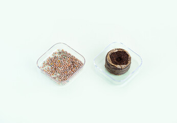 Peat briquettes for growing seedlings and young plants on a green background and radish seeds in container