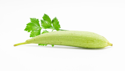 fresh loofah or Sponge Gourd or Vegetable Sponge
