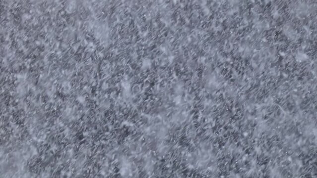 Very heavy snowfall during a blizzard in windy winter weather close-up