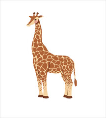 Vector cute cartoon giraffe isolated on white background